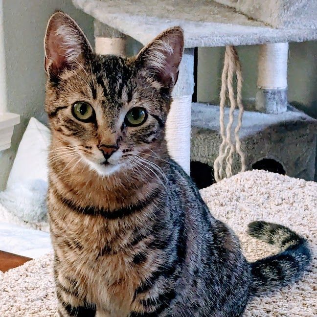 Alexis (with Andrew)