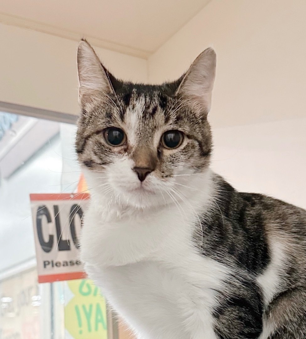 Vivian *bonded with Edward*