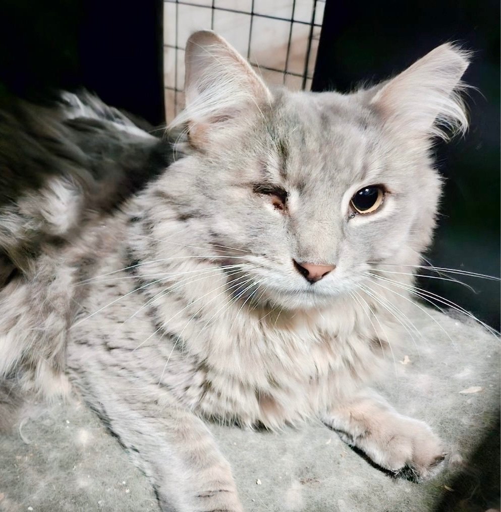 Liam *bonded with Marcus*