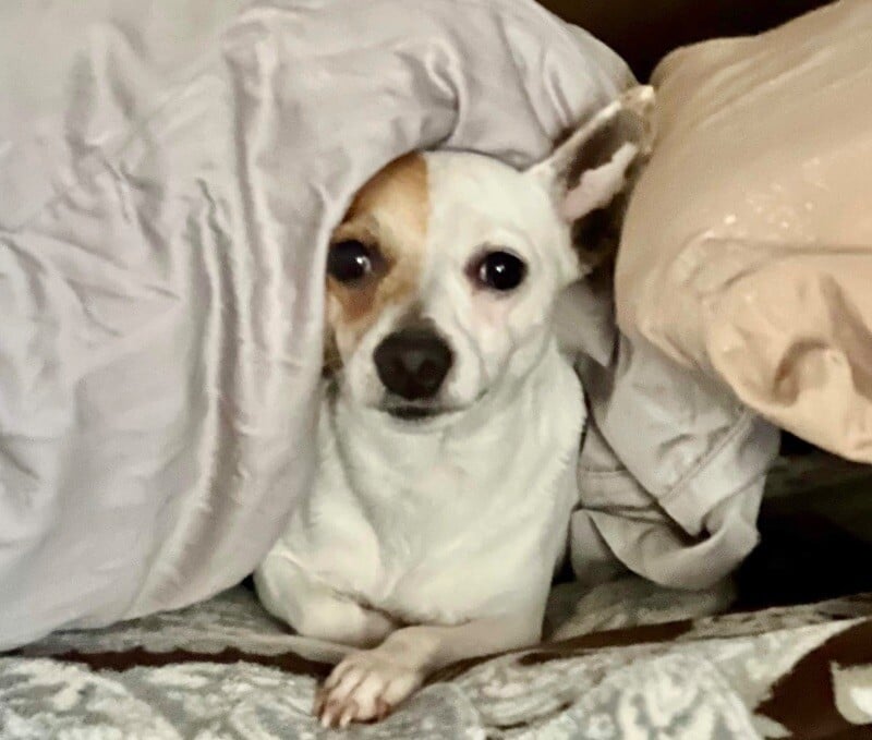 Tiny Wonder Sees Love 