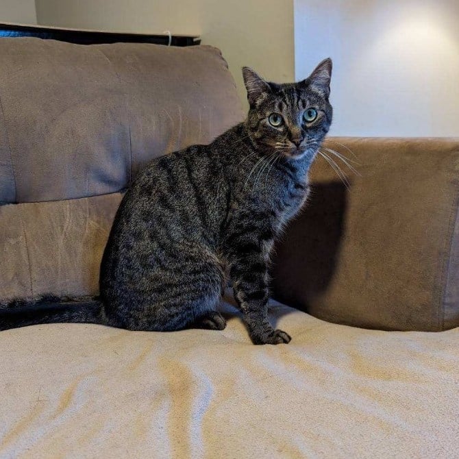 Bowie - Waiting Too Long :( 