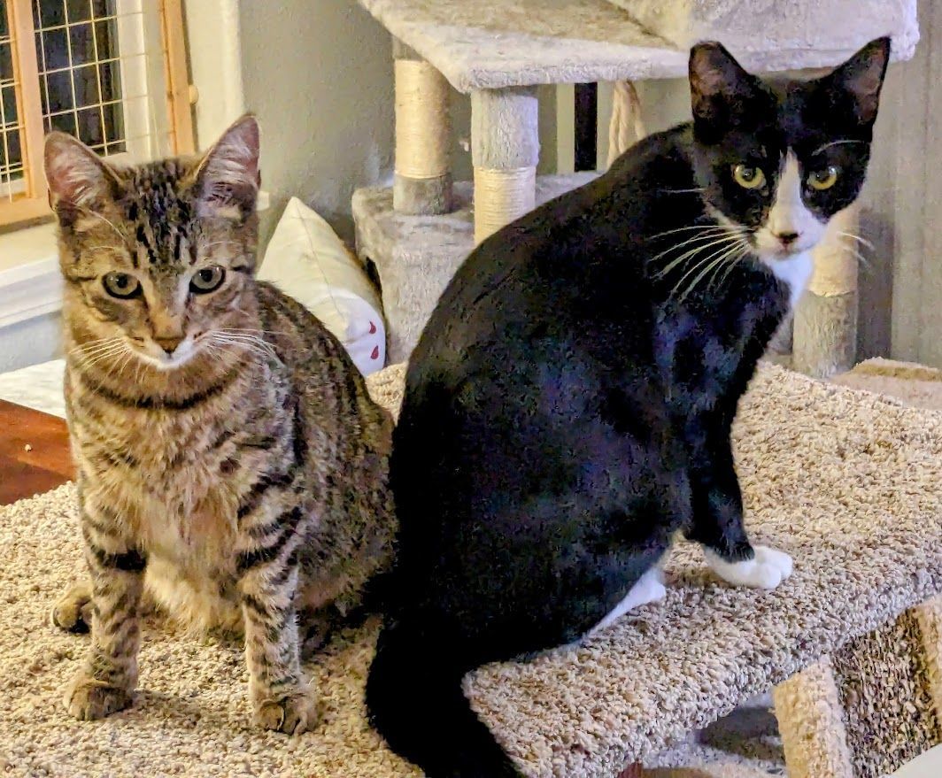 Andrew (with Alexis)