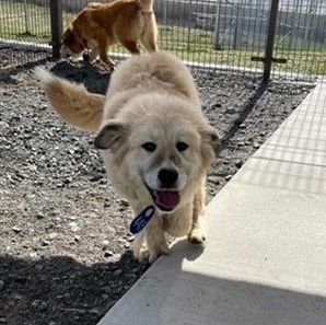 Patrick  (41549/668)