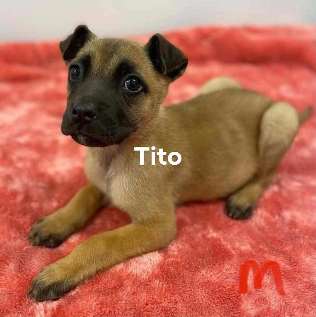 TITO