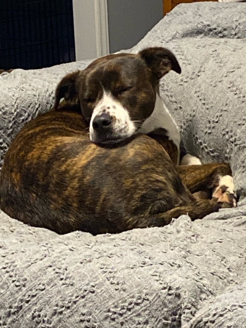 KC   (courtesy listing)