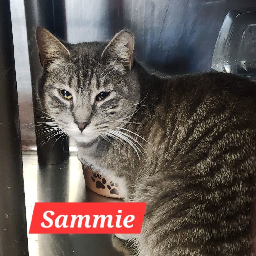 Sammie
