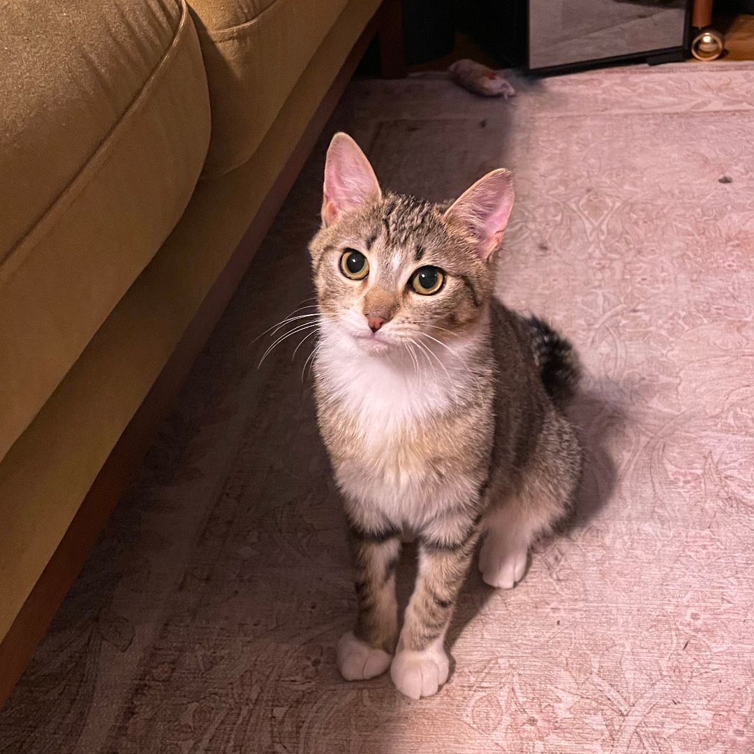 Snow Pea & Bok Choy - bonded sisters