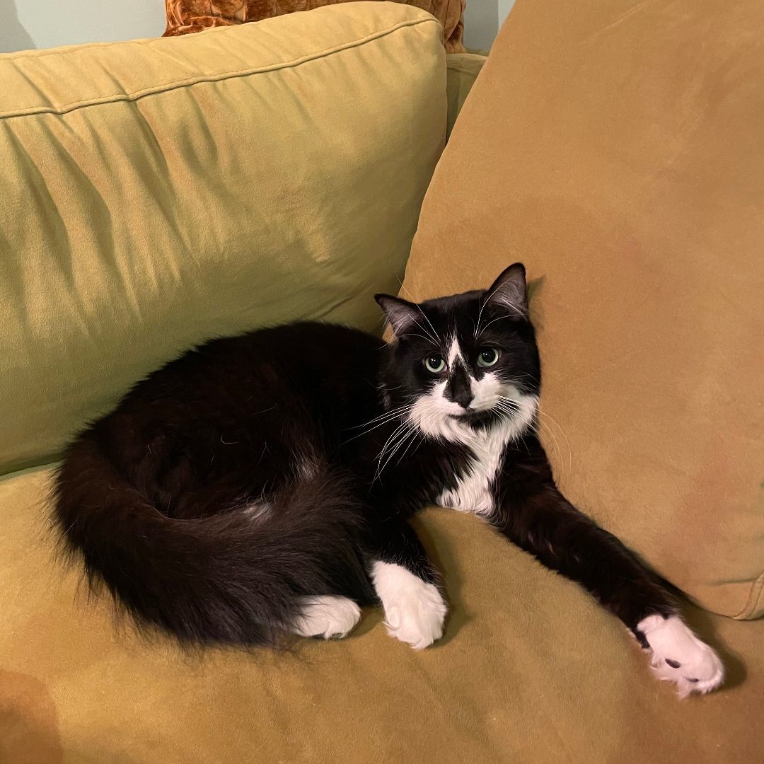 Crush - with a big heart